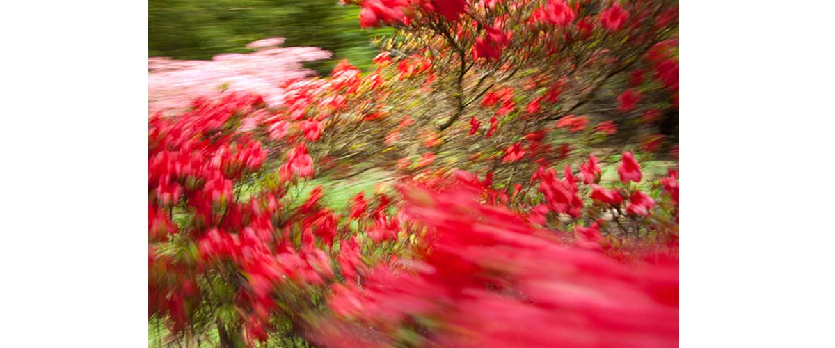 image taken be Paul Pacey